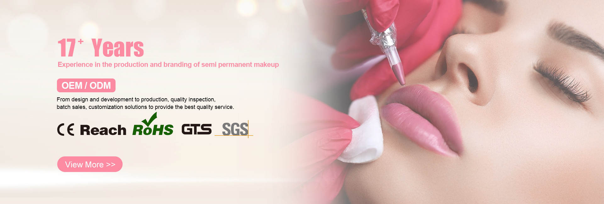 Qualità Corredo permanente del tatuaggio di trucco fabbrica