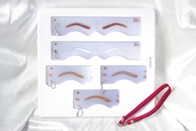 Strumenti Kit Different Styles Reusable governare di Gabry Transparent Permanent Makeup Eyebrow