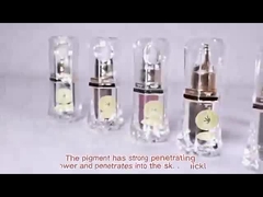 Pigmento permanente del tatuaggio di trucco